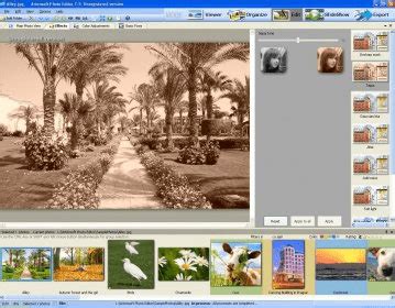 Artensoft Photo Editor 1.5